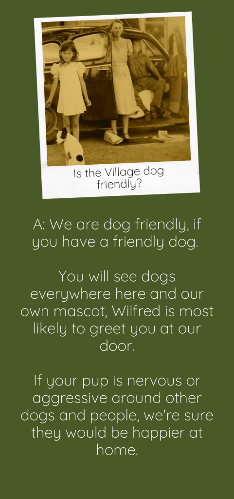dog friendly workspace in south Denver